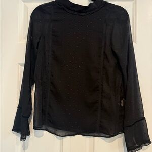 Zara- Elegant Black Sheer Women's Top